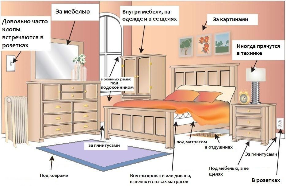 Обработка от клопов квартиры в Якутске